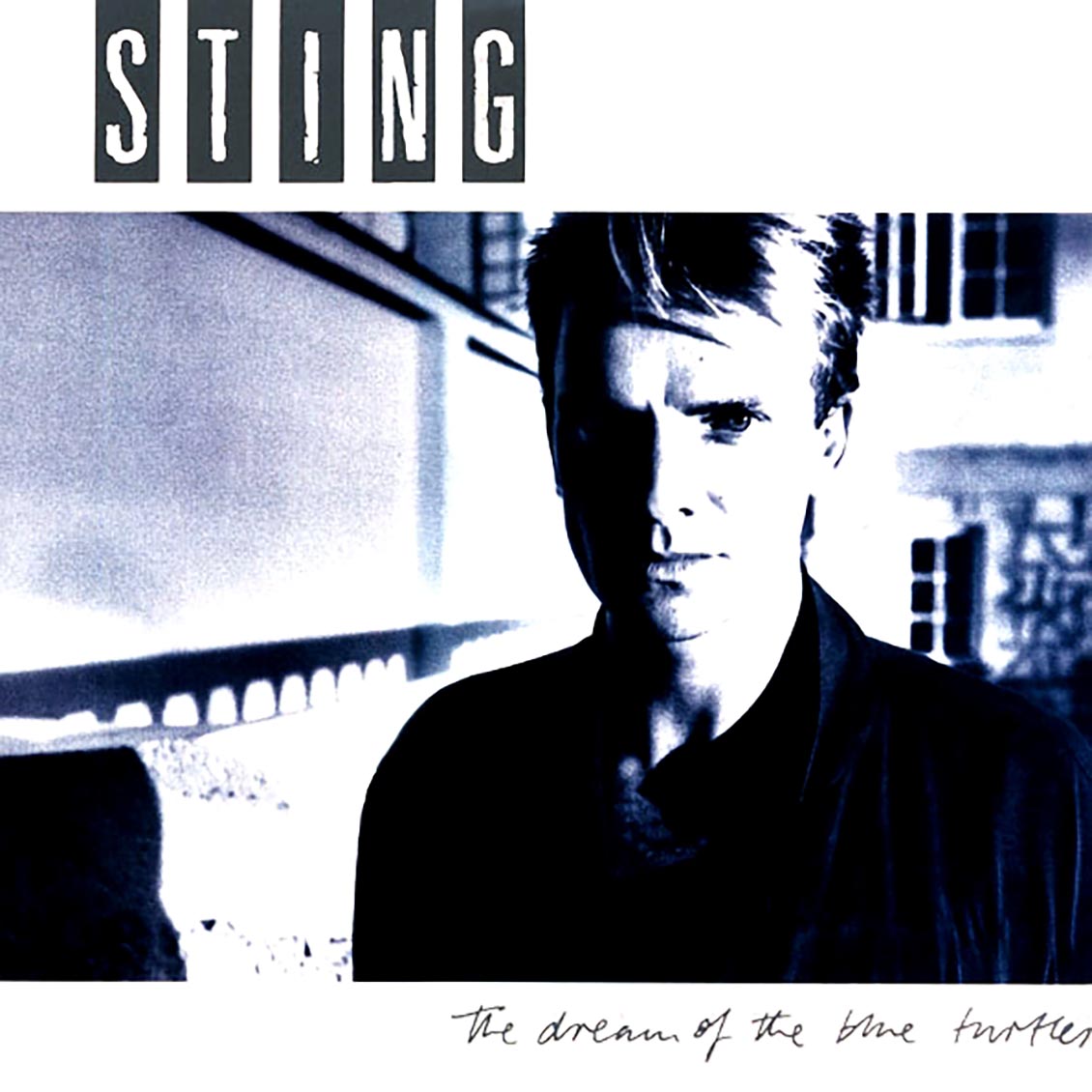 Sting - The Dream Of The Blue Turtles